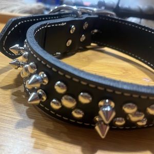Bull dog collar